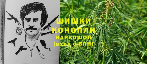 PSILOCYBIN Богородицк